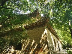 -灵谷景区