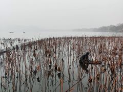 -西湖外事游船(湖滨二公园外事游船码头)