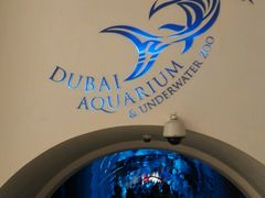 -迪拜水族馆及水下动物园