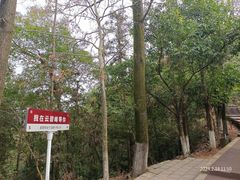 -云碧峰国家森林公园
