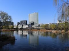 -大兴滨河森林公园