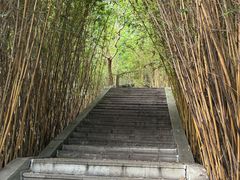 -张坝桂圆林公园