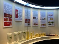-广东中医药博物馆