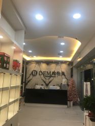 -DEM缔怡美科技美容