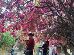 -东莞市可园博物馆