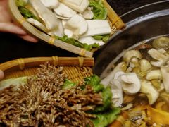-滇野云南野生菌餐厅(陕西南路店)