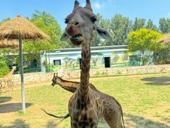 -北京野生动物园