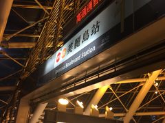 -捷运美丽岛站(The Dome of Light)