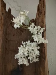 -香秀空间科技抗衰·美容中心