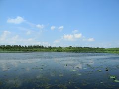 -溱湖国家湿地公园