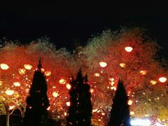 -大雁塔文化休闲景区-北广场