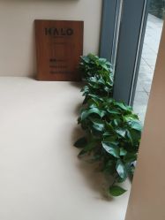 -Halo FLY运动空间