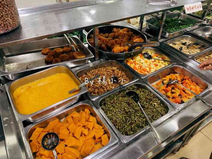 慧善堂素食-"在新加坡花园一期门口外,先付款领餐具,基.