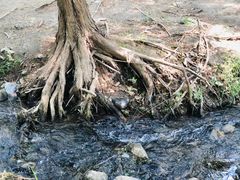-白水寺森林公园