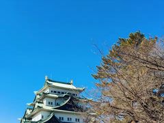 -名古屋城