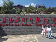 -青藏高原野生动物园