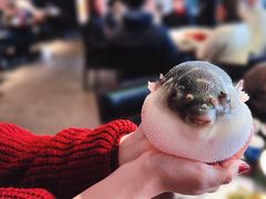 -永安鱼庄·镇江菜(东吴路店)