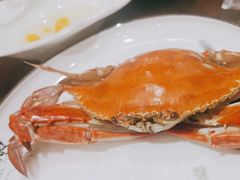 -东来菜馆•手抓海鲜家常菜•海鲜锅贴(鸽子窝店)
