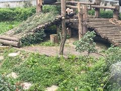 -黔灵山公园