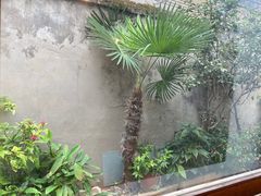 -卷耳咖啡