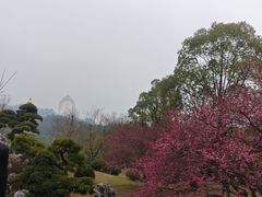 -庐山风景名胜区-东林大佛