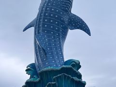 -珠海长隆海洋王国