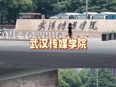-武汉传媒学院