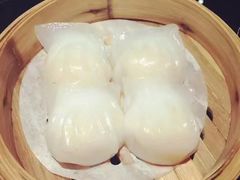 -高第街56号餐厅(宝龙店)