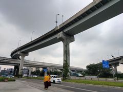 -神仙树公园