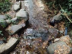 -火炉山森林公园