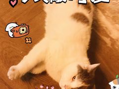 -顽啤熊·酒客酒馆(苏城夜景必选店)