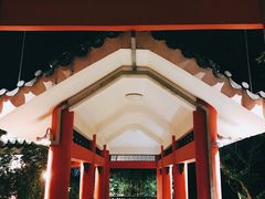 -紫马岭公园