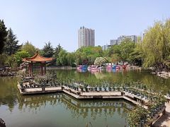 -西苑公园