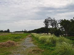 -郑东新区龙湖公共艺术中心