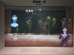 -中国茶叶博物馆(双峰馆区)