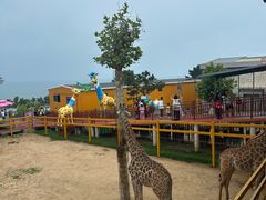 -西霞口神雕山野生动物世界