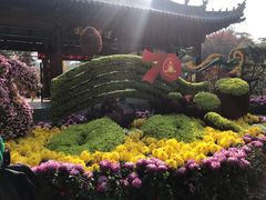 -莲湖公园