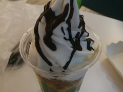 -Salud撒露欧洲冻酸奶(798艺术区店)