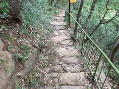 -老象峰