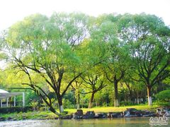 -瀛洲公园