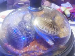 -半岛听涛蒸汽海鲜自助(K11店)