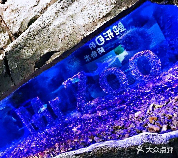 带宝贝一起给宝贝们玩耍吧!