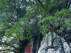 -星湖旅游景区七星岩