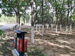 -永定河休闲森林公园