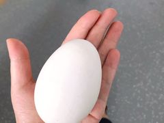 -燃厚蛋糕(卓展中信城店)