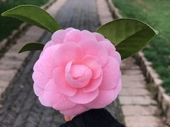 -雨花胜境