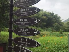 -宁波浙东大竹海景区