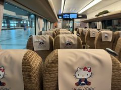 -关西机场 JR ticket office(Kansai Airport)