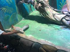 -华夏文旅西安度假区