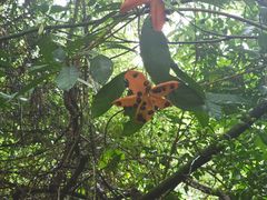 -广州白江湖森林公园